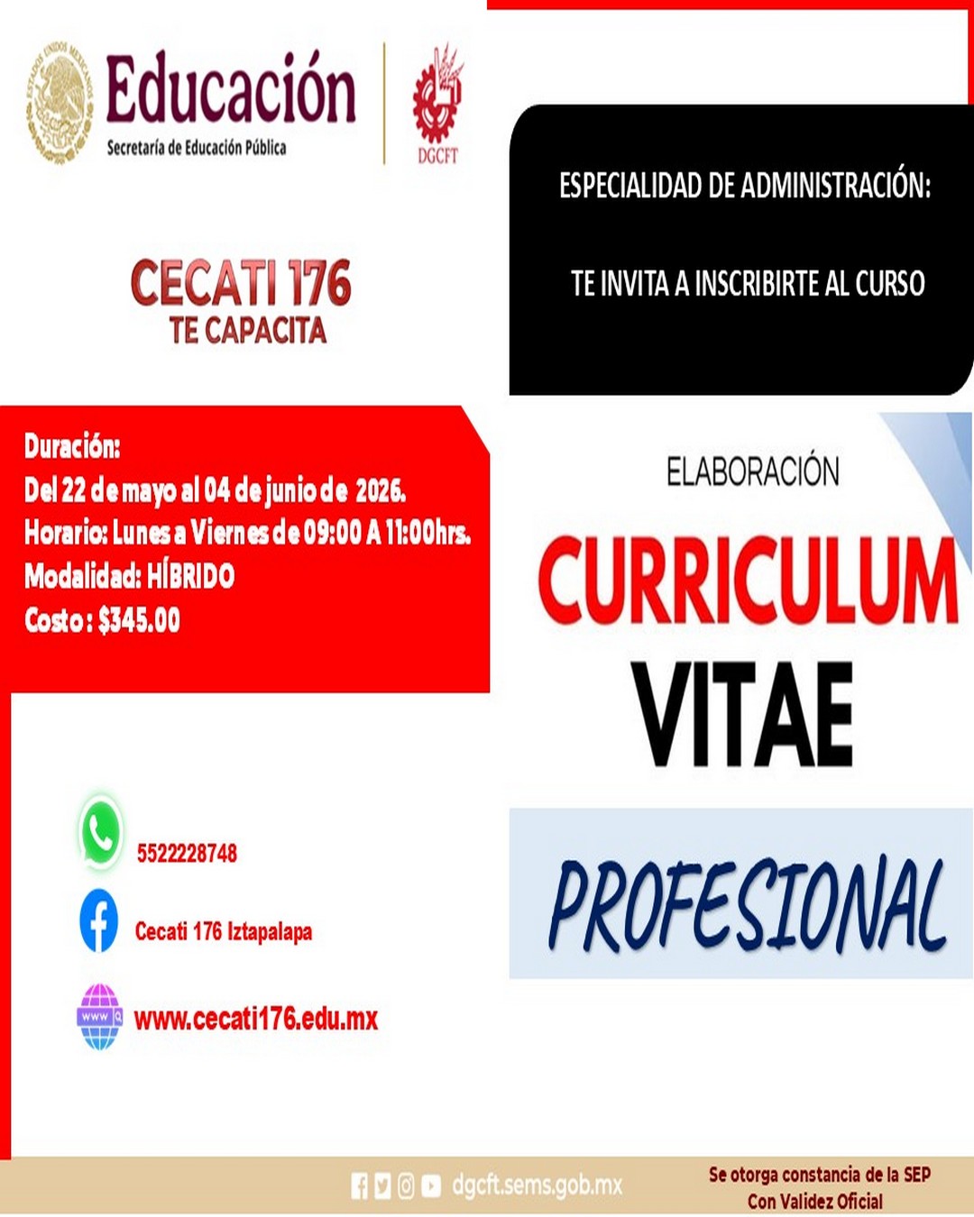 ELABORACIÓN DE UN CURRICULUM VITAE PROFESIONAL