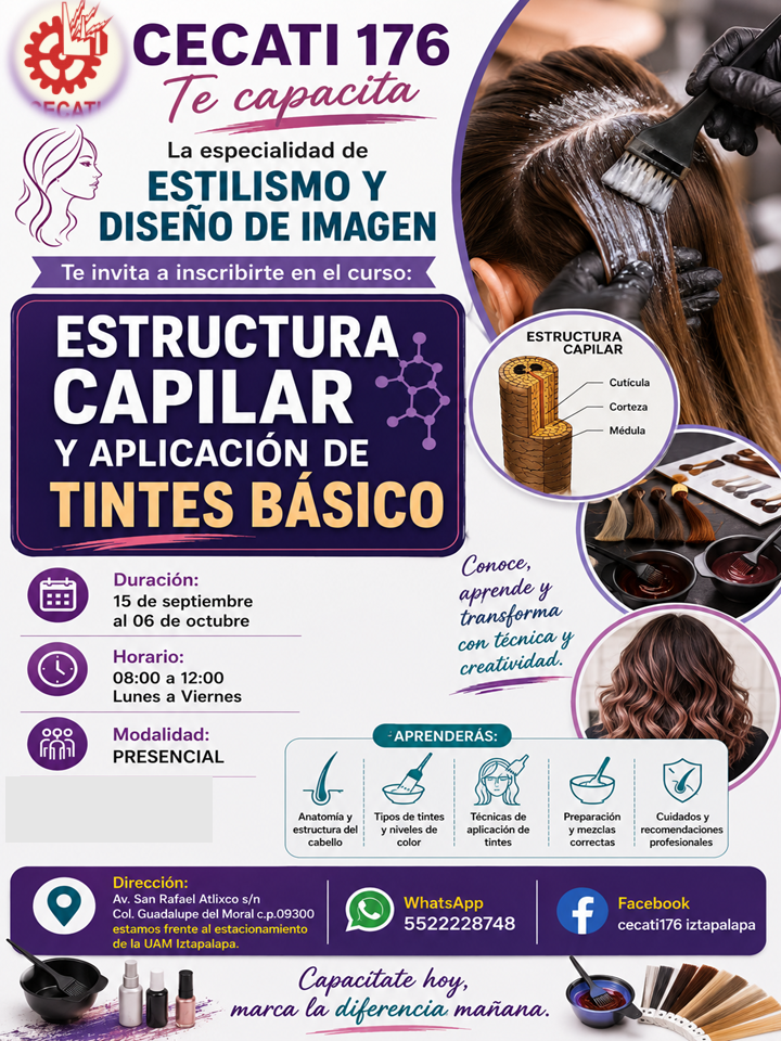 ESTRUCTURA CAPILAR Y APLICACIÓN DE TINTES BASICO